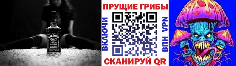 mega ссылки Гудермес Галлюциногенные грибы Cubensis продажа наркотиков